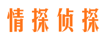 襄城外遇出轨调查取证